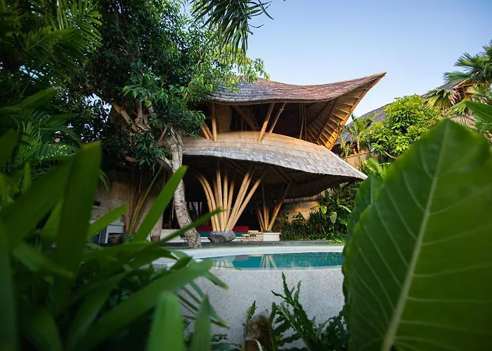 Bandido Bali *